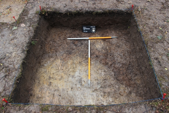 Trench 3 with the stained soil and degraded sandstone